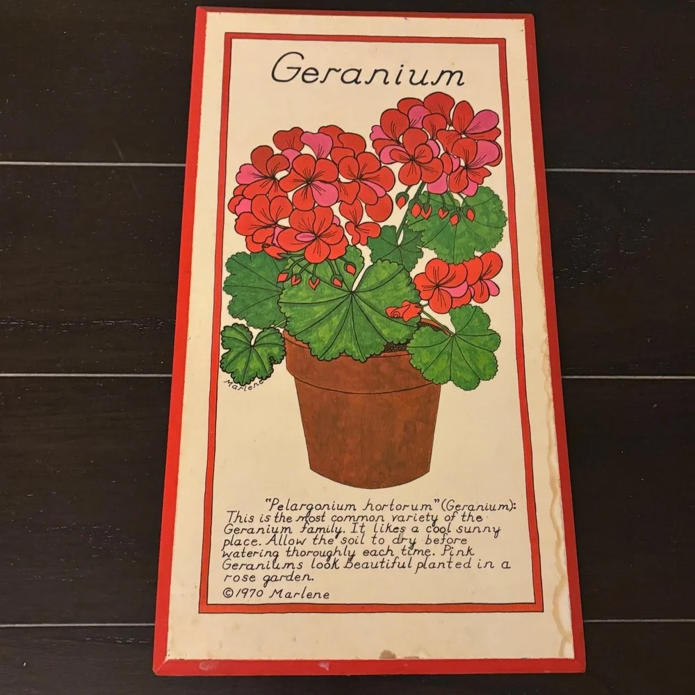 Vintage 1970 Marlene Jalem Plaque Co | Potted Flower Series 3pc Set | Beveled